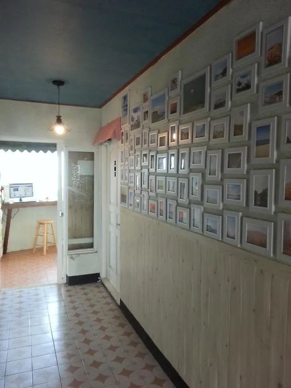Petit Monami Guesthouse Jeju South Korea